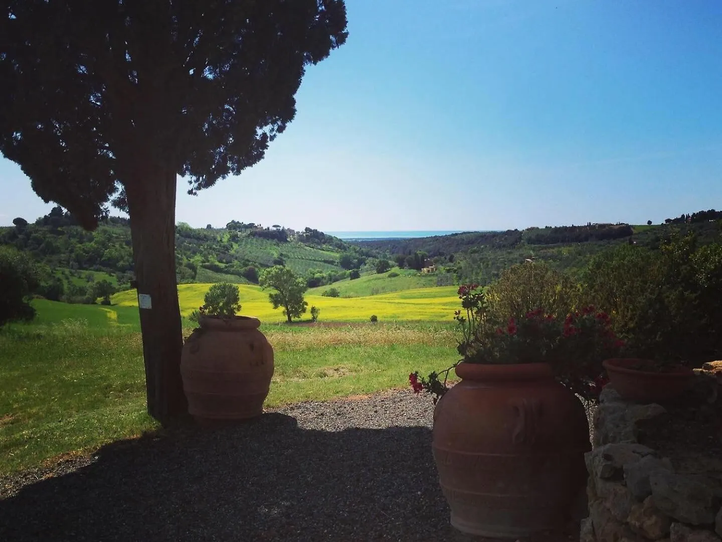 Fattoria Podere I Luoghi Casale Marittimo 0*,