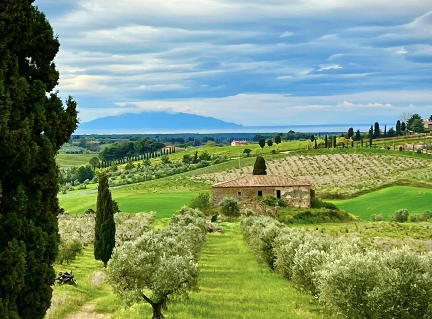 Fattoria Podere I Luoghi Casale Marittimo Apartment